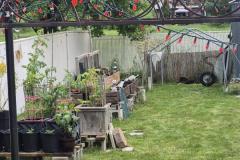2_Diane-Girouard-5