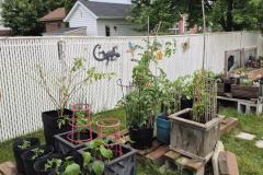 Diane-Girouard-1