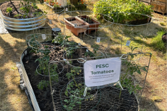 PESC-11