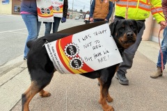 I was taught not to bet but here we are